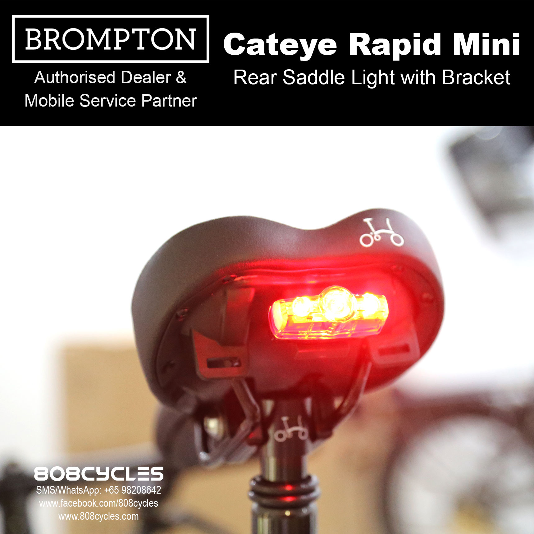 saddle tail light