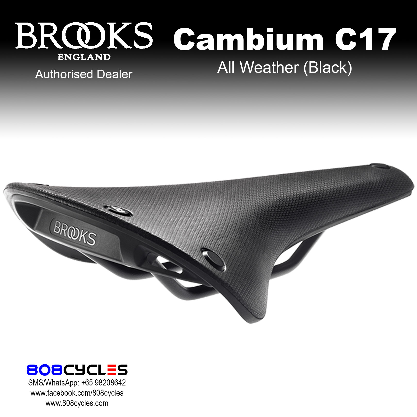 brooks cambium c17 all weather reviews