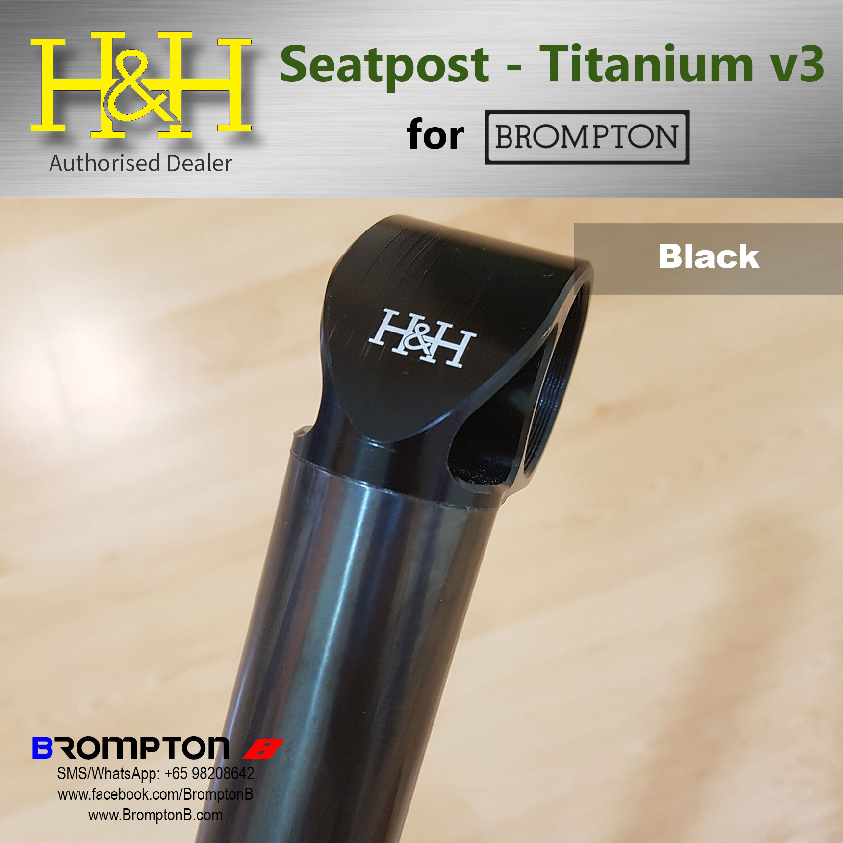 seatpost brompton titanium
