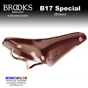 Brooks B17 Special Leather Saddle – 808 Cycles