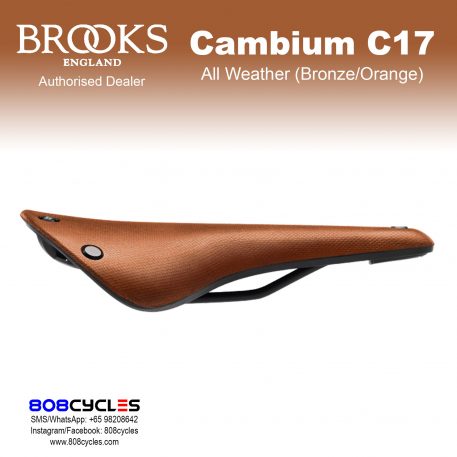 Brooks Cambium C17 All Weather – 808 Cycles