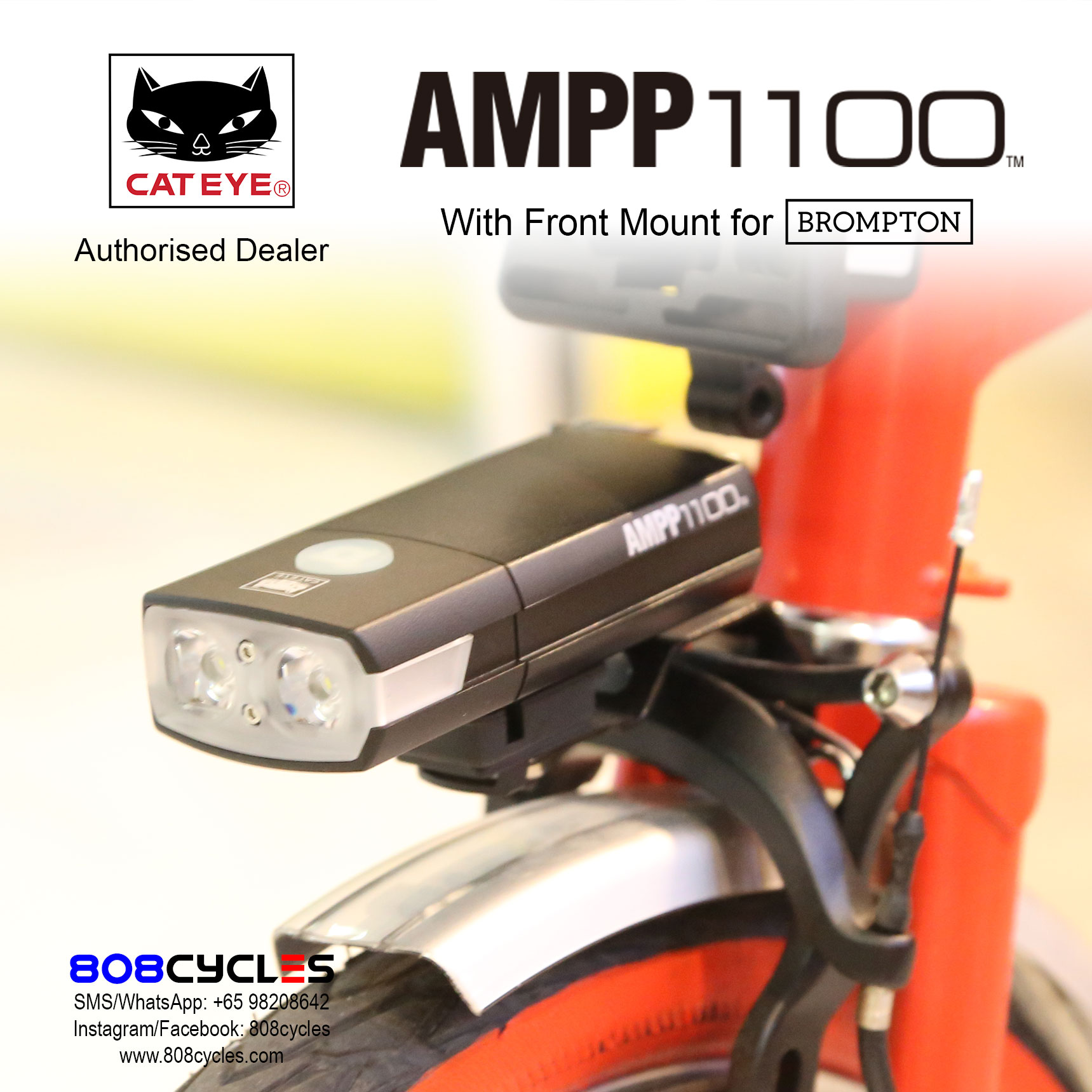 AMPP1100-01.jpg