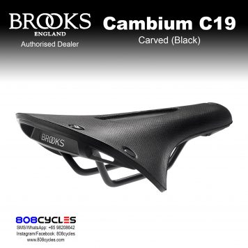 Brooks Cambium C19 Carved All Weather