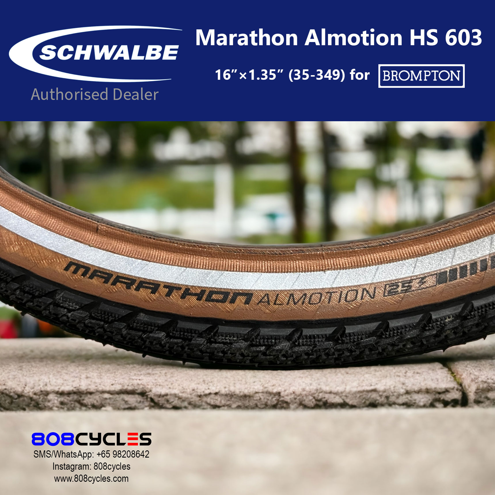 Schwalbe Marathon Almotion HS 603 (brown, foldable) - Image 2