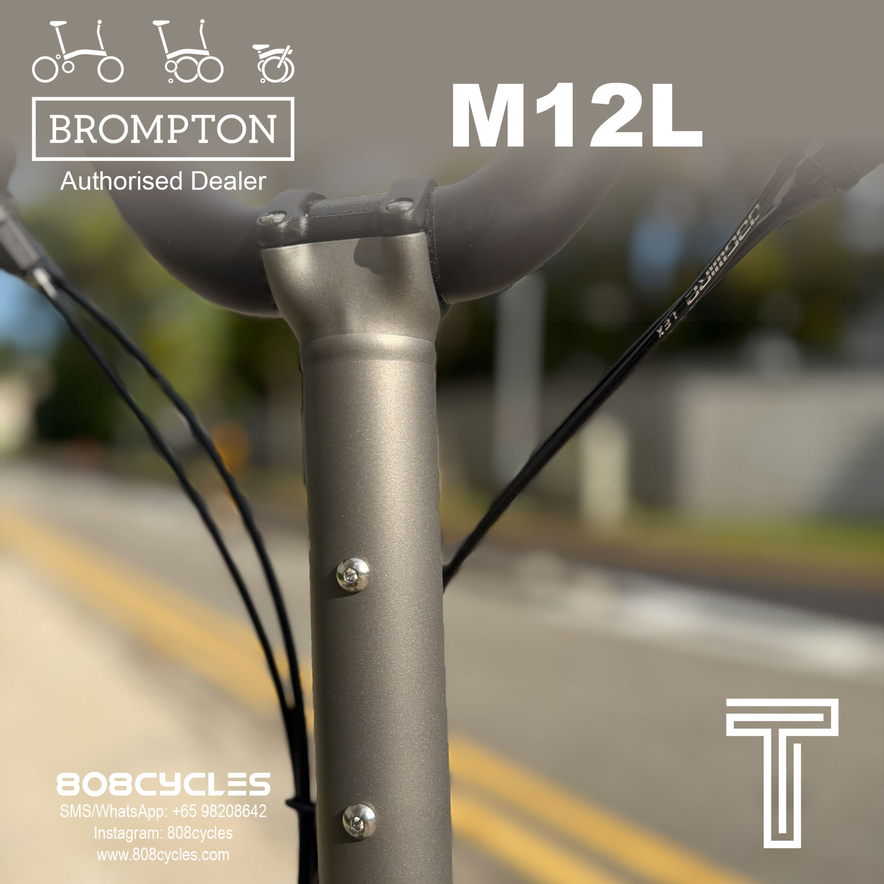 Brompton 2026 T Line 12-speed “M12L” Full-Titanium - Image 10